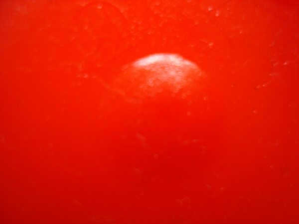 RedMole03